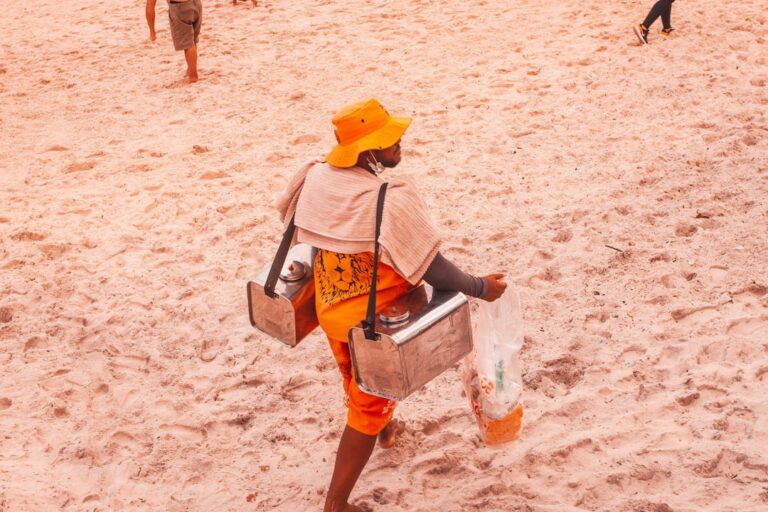 Best Features to Look for in a Travel Cooler
