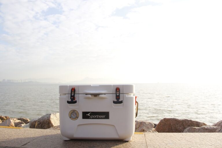 Comparing the Best Travel Coolers on the Market Today